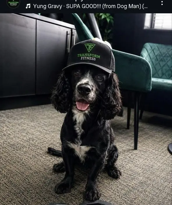 Cosmo — Transform Fitness mascot